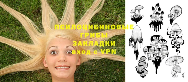 герыч Ессентукская