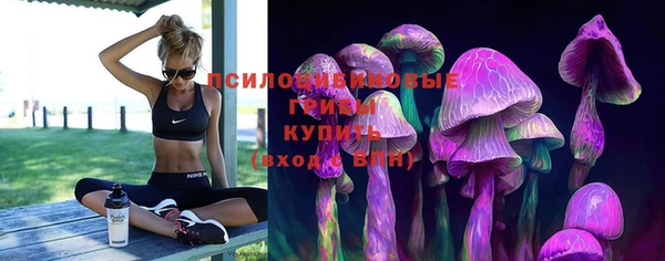 герыч Ессентукская